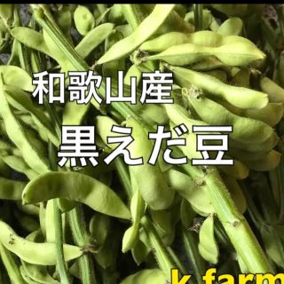 和歌山産☆黒枝豆 2キロ(野菜)