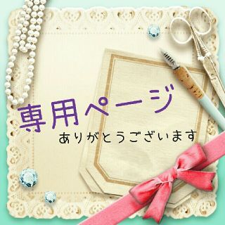 ch様専用★*ﾟお名前シール(ネームタグ)
