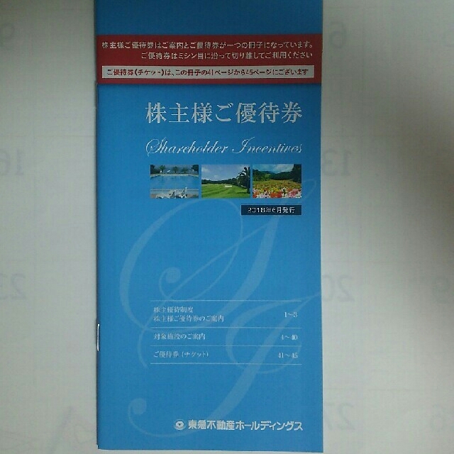 【ポンポン様専用】東急不動産ホールディングス株主優待券(スポーツ優待券のみ) チケットの優待券/割引券(その他)の商品写真