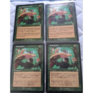 マジックザギャザリング(マジック：ザ・ギャザリング)の菌獣の共生 MTG  Saproling Symbiousis(シングルカード)