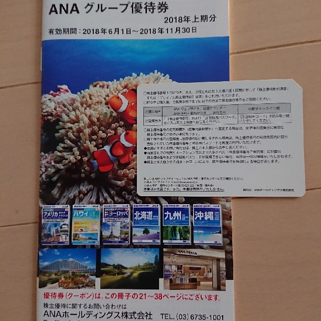 ANA(全日本空輸)(エーエヌエー(ゼンニッポンクウユ))のANA 株主優待券 チケットの乗車券/交通券(航空券)の商品写真