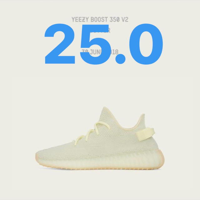 靴/シューズyeezy boost 350 v2 25.0