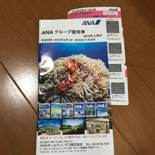 エーエヌエー(ゼンニッポンクウユ)(ANA(全日本空輸))の全日空(ANA)株主優待券 ４枚＋冊子(航空券)