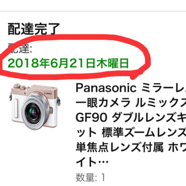 《最終値下げ価格》Panasonic LUMIX DC-GF10/GF90