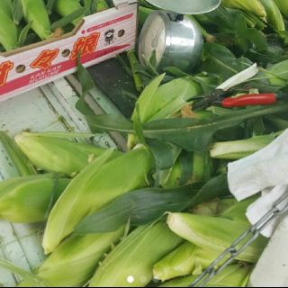 ボビ様専用⭐とうもろこしB級品(野菜)