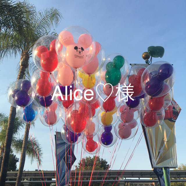 【お買得!】 Disney Alice♡ - キャラクターグッズ