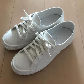 スペルガ(SUPERGA)のスペルガ レインシューズ(レインブーツ/長靴)