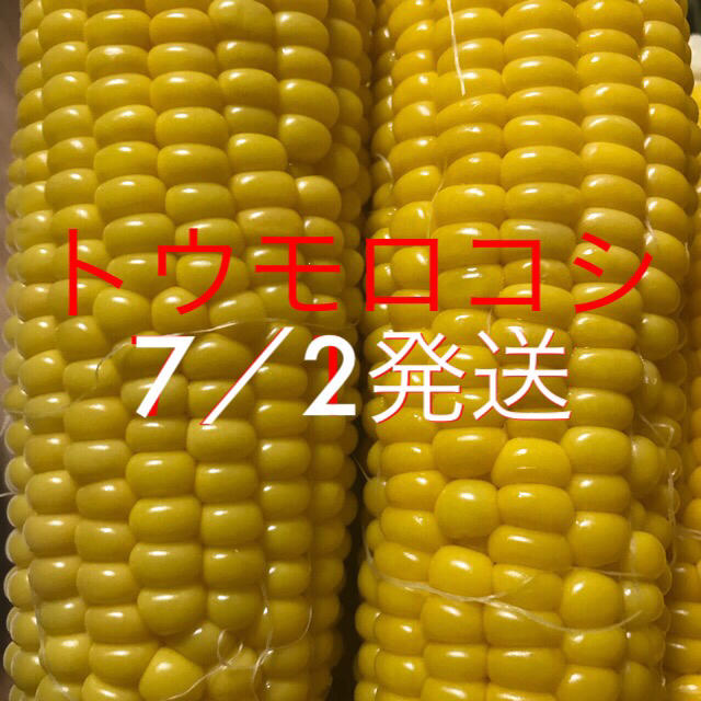 マミィちゃん専用 食品/飲料/酒の食品(野菜)の商品写真