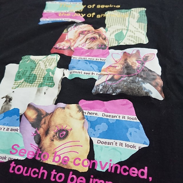 A/T(エーティー)のA/T アニマルプリント Tシャツ レディースのトップス(Tシャツ(半袖/袖なし))の商品写真
