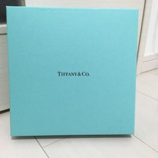 ティファニー(Tiffany & Co.)のTIFFANY プレート2枚セット(食器)