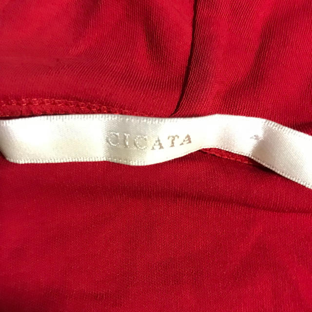 CICATA(シカタ)のCICATA 赤 パーカー 2 メンズのトップス(パーカー)の商品写真