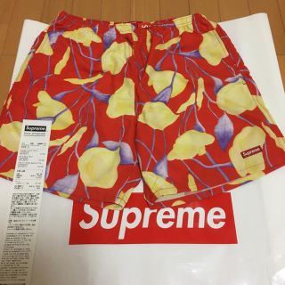 シュプリーム(Supreme)のsupreme Nylon Water Short(水着)