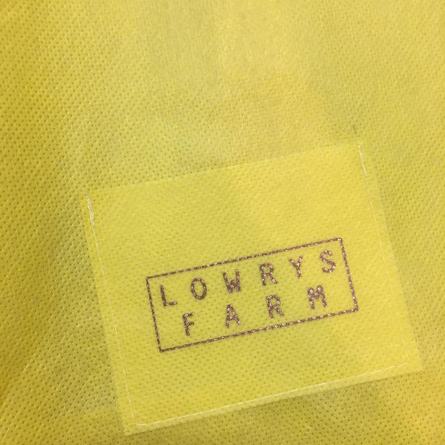 LOWRYS FARM(ローリーズファーム)のローリーズファーム 布袋 レディースのバッグ(ショップ袋)の商品写真