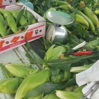 ginnoame様専用⭐とうもろこし　B級品(野菜)