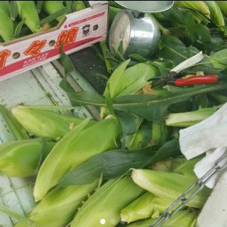 フーリ様専用⭐とうもろこし(野菜)