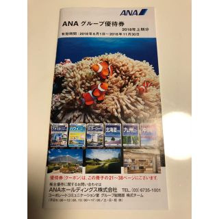 エーエヌエー(ゼンニッポンクウユ)(ANA(全日本空輸))のANAグループ優待券(その他)