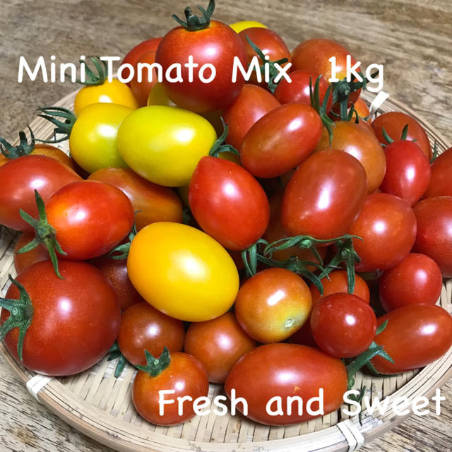無農薬 有機栽培 ミニトマトミックス 1kg前後 食品/飲料/酒の食品(野菜)の商品写真