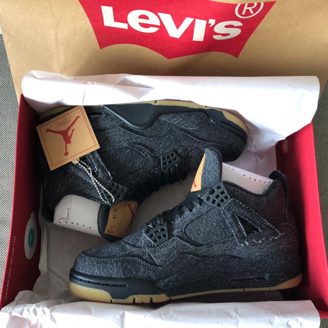 希少サイズ 25cm AIR JORDAN 4 LEVIS NRG 黒