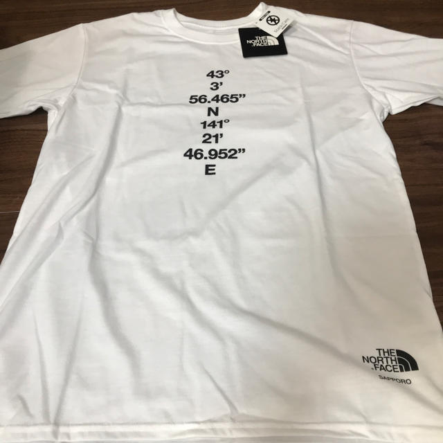 THE NORTH FACE(ザノースフェイス)のnorth face ノースフェイス SOUVENIR スーベニア tシャツ  メンズのトップス(Tシャツ/カットソー(半袖/袖なし))の商品写真