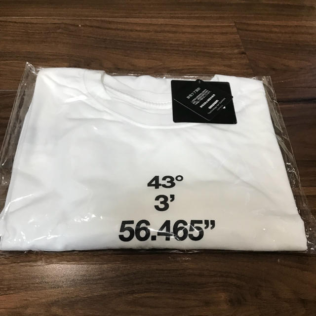 THE NORTH FACE(ザノースフェイス)のnorth face ノースフェイス SOUVENIR スーベニア tシャツ  メンズのトップス(Tシャツ/カットソー(半袖/袖なし))の商品写真