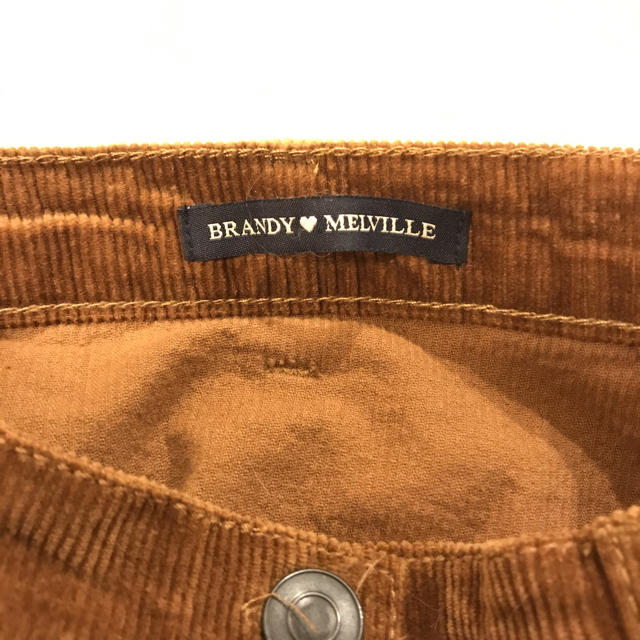 Brandy Melville(ブランディーメルビル)の日本未上陸 Brandy Melville スカート レディースのスカート(ミニスカート)の商品写真