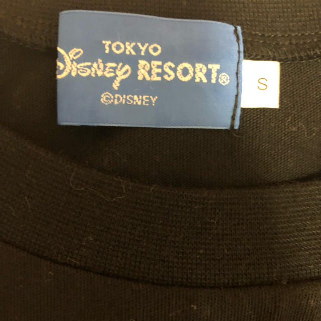 Disney(ディズニー)のディズニーランドTシャツ レディースのトップス(Tシャツ(半袖/袖なし))の商品写真