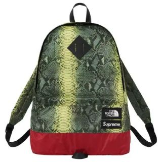 シュプリーム(Supreme)のsupreme the north face snake day pack(バッグパック/リュック)