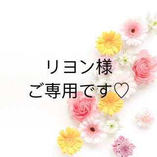 リヨン様ご専用です♡(その他)