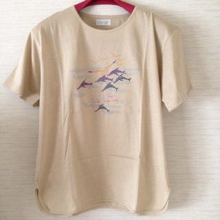 レディース  Tシャツ２枚(Tシャツ(半袖/袖なし))