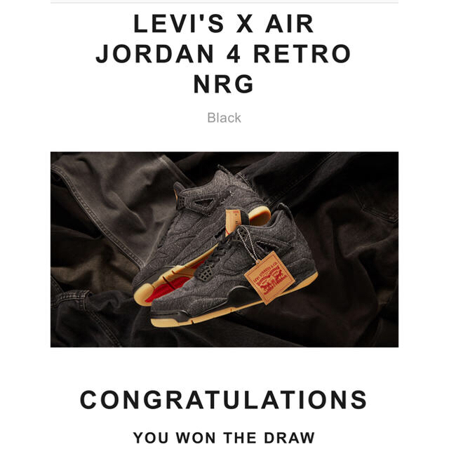 jordan4 Levi’s リーバイス 27.5cm