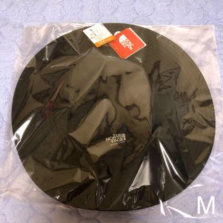 ザノースフェイス(THE NORTH FACE)のMサイズ 新品 ノースフェイス ホライズンハット ハット(ハット)