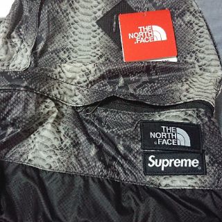 シュプリーム(Supreme)のSnakeskin Lightweight Day Pack 18ss(バッグパック/リュック)