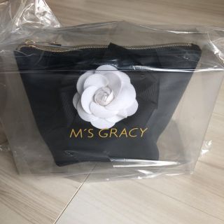 エムズグレイシー(M'S GRACY)の値下げ 新品☆エムズグレイシー  ポーチ(ポーチ)