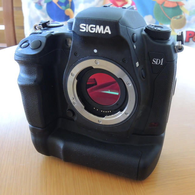 SIGMA - ウッチー5566さん専用 SD1 Merrill