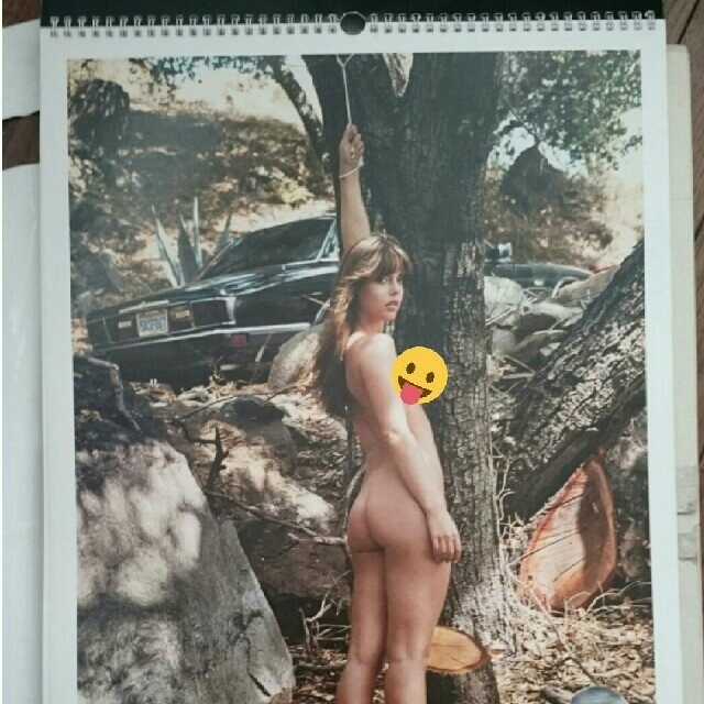 Supreme(シュプリーム)のSupreme 2005 calendar / Larry Clark インテリア/住まい/日用品の文房具(カレンダー/スケジュール)の商品写真