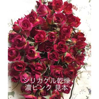 ミニ薔薇ドライフラワー★B シリカゲル乾燥20輪セット★miho75様専用★(ドライフラワー)