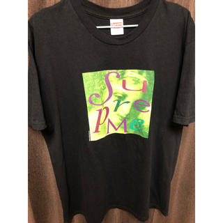 シュプリーム(Supreme)の2017 fw ヴィーナスＴ Mサイズ (Tシャツ/カットソー(半袖/袖なし))