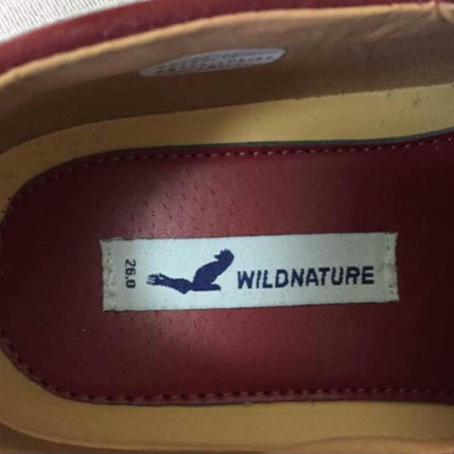 Timberland(ティンバーランド)のワインレッド デッキシューズ 26 新品 定価3200円程 WILDNATURE メンズの靴/シューズ(デッキシューズ)の商品写真