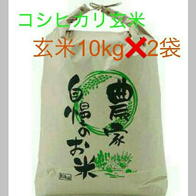 29年度????コシヒカリ玄米20kg【10kg✖2袋】お米????送込　米/穀物