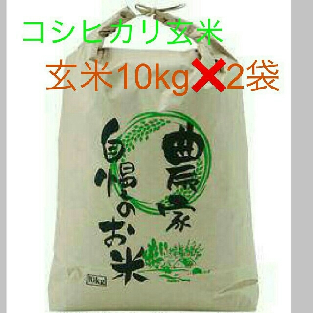 米/穀物　8月13日発送29年度滋賀のコシヒカリ玄米20kg　10kg✖2袋お米送込