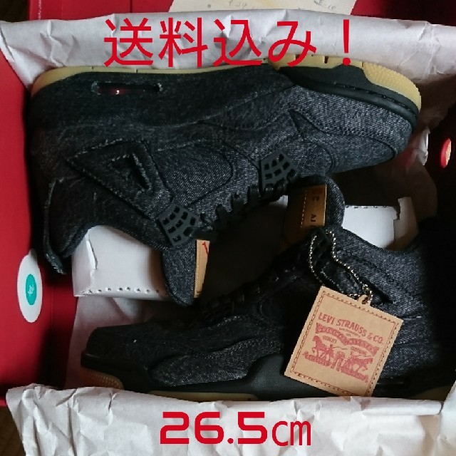 26.5㎝  AIR JORDAN 4 RETRO LEVIS NRG