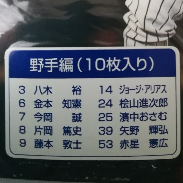 阪神タイガース(ハンシンタイガース)の阪神タイガースポストカード10枚入り野手編☆金本、桧山、赤星など優勝フォトカード スポーツ/アウトドアの野球(記念品/関連グッズ)の商品写真