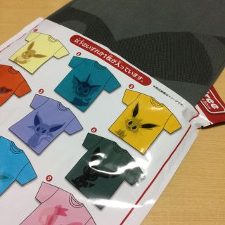 ポケモン(ポケモン)の専用(その他)