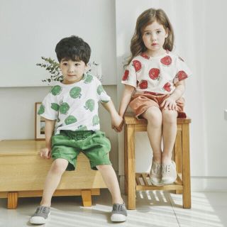 セット Ｔシャツと5部パンツ 80/90(Ｔシャツ)