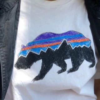 パタゴニア(patagonia)の完売！パタゴニアのTシャツXS ロニースコッツ (Tシャツ(半袖/袖なし))