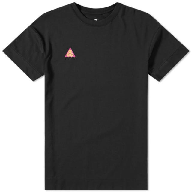 NIKE(ナイキ)のナイキ acg Tシャツ L size メンズのトップス(Tシャツ/カットソー(半袖/袖なし))の商品写真