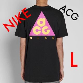 ナイキ(NIKE)のナイキ acg Tシャツ L size(Tシャツ/カットソー(半袖/袖なし))