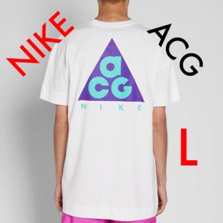 ナイキ(NIKE)のナイキ acg Tシャツ L size(Tシャツ/カットソー(半袖/袖なし))