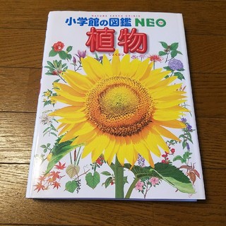 ショウガクカン(小学館)のNEO　植物図鑑(絵本/児童書)