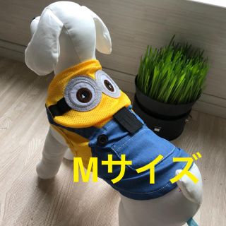 ミニオン(ミニオン)の犬 服 メッシュ ミニオン風 Mサイズ(犬)